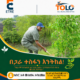 ክቡር አቶ ሙስጠፋ አባሲመል 80x80